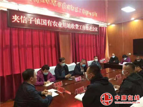 夹信子镇最新人事任命及其深远影响的动态分析