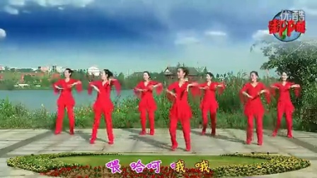 春英最新广场舞2025，舞动生活的活力之源