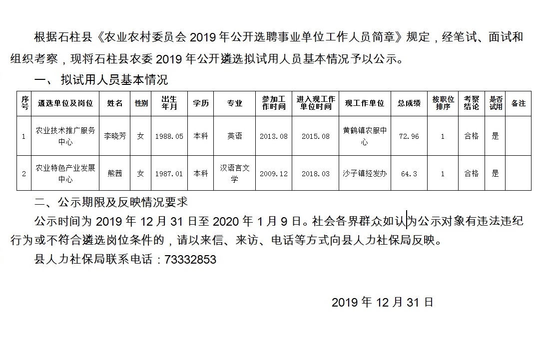 石井乡最新招聘信息全面概览
