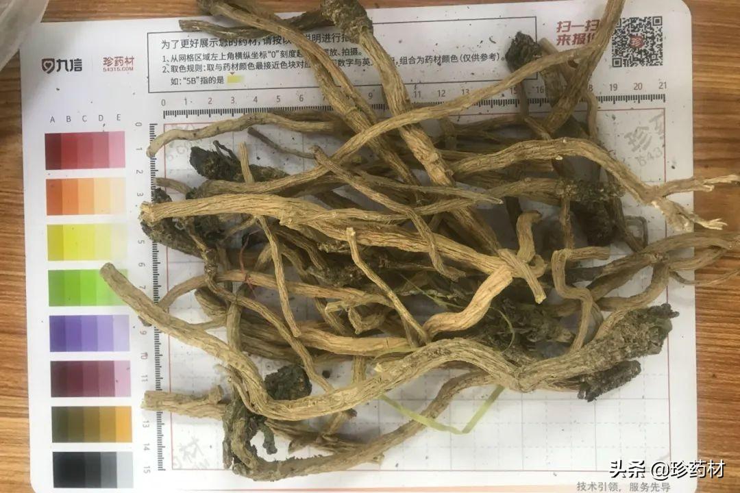 最新酸枣仁行情分析与市场趋势展望